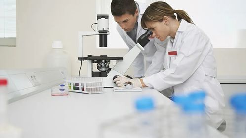 化學、化工與生物化工專業就業前景分析