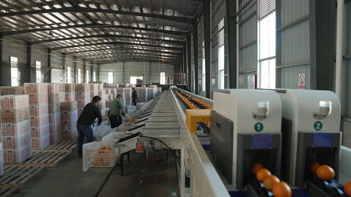 菜鳥物流科技下鄉(xiāng)，助力尋烏農(nóng)產(chǎn)品進(jìn)城與快遞進(jìn)村，自動(dòng)化與生物化工技術(shù)研發(fā)再上新階